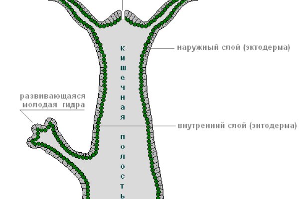 Ссылки на кракен маркетплейс